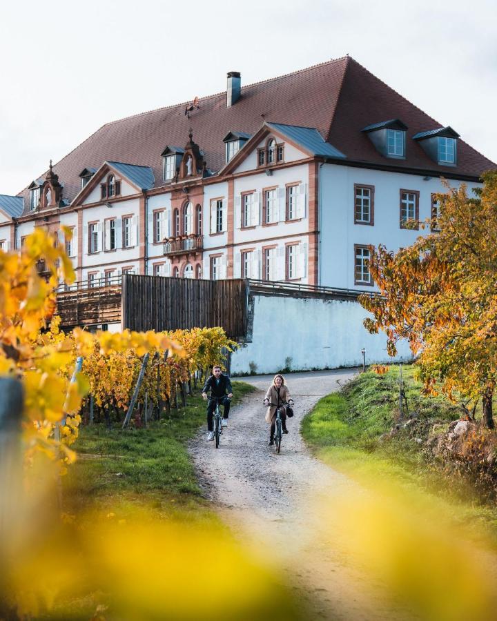 Hotel Val-Vignes Colmar Haut-Koenigsbourg, The Originals Relais Saint-Hippolyte  Zewnętrze zdjęcie