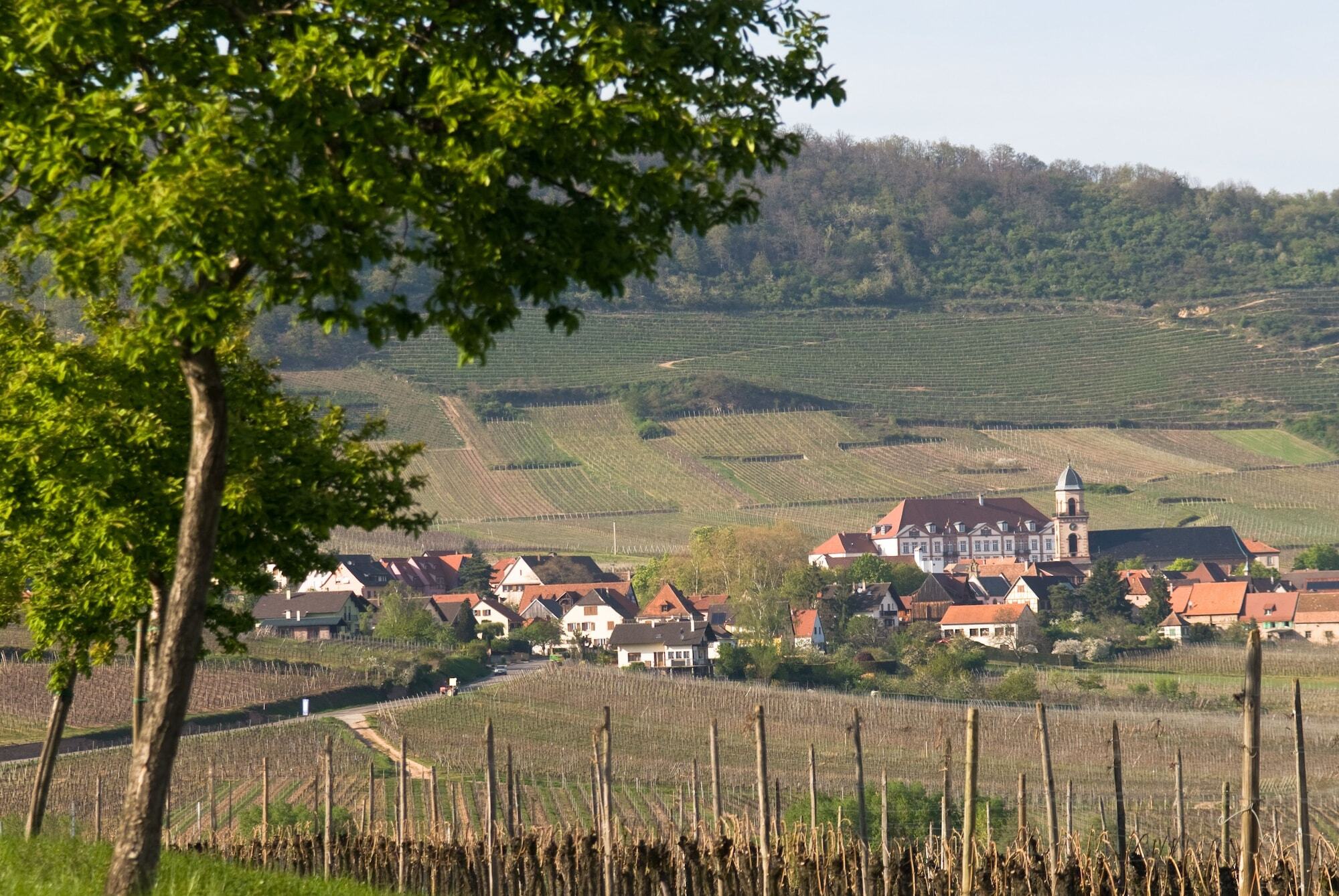 Hotel Val-Vignes Colmar Haut-Koenigsbourg, The Originals Relais Saint-Hippolyte  Zewnętrze zdjęcie